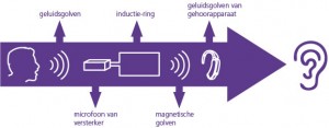 ringleiding-NL